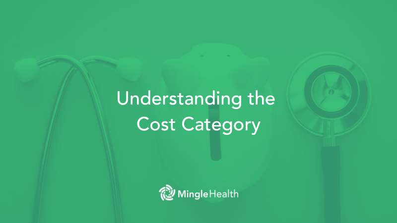 Understanding the Cost Category